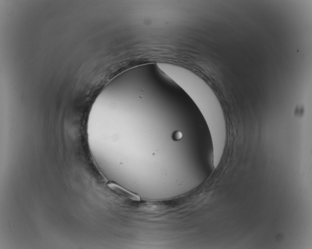 X0000111650221200907311324