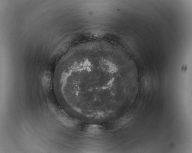 X0000111650222200907311324