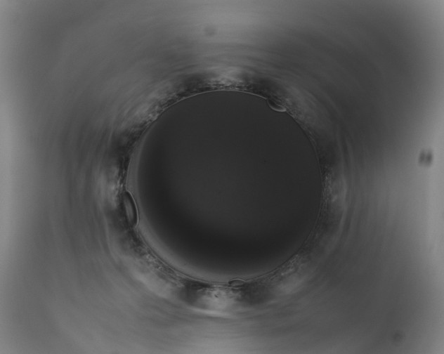 X0000111650223200907311324
