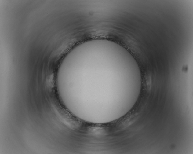 X0000111650224200907311324
