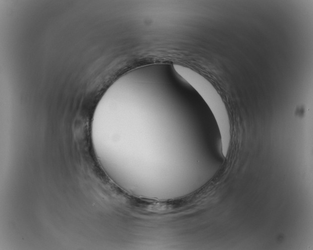 X0000111650225200907311324