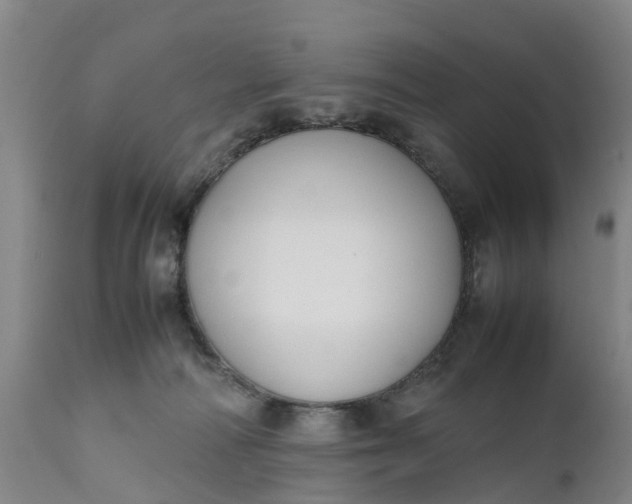 X0000111650226200907311324