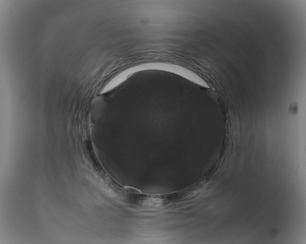 X0000111650227200907311324
