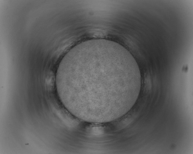 X0000111650228200907311324