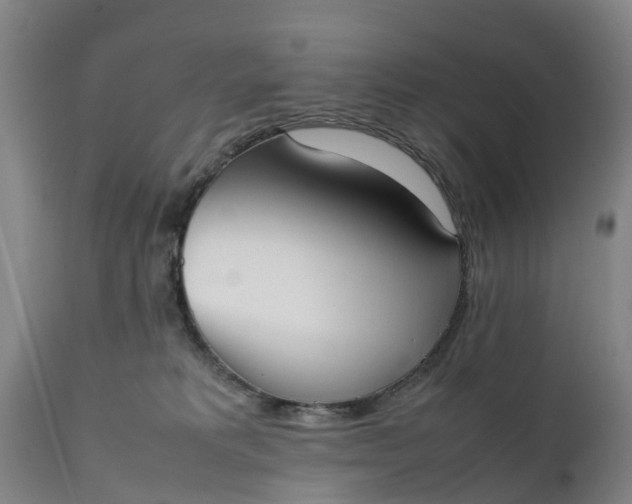 X0000111650229200907311324