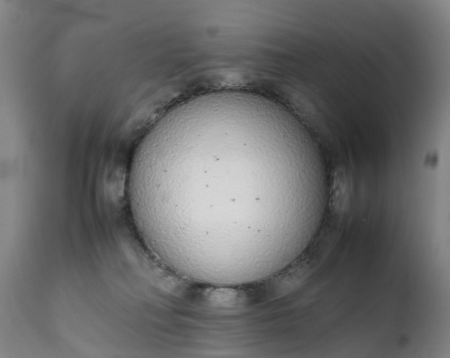 X0000111650230200907311324