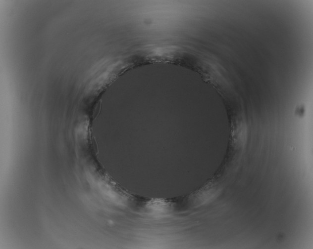 X0000111650231200907311324