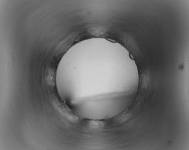 X0000111650234200907311324