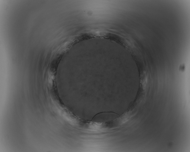 X0000111650235200907311324