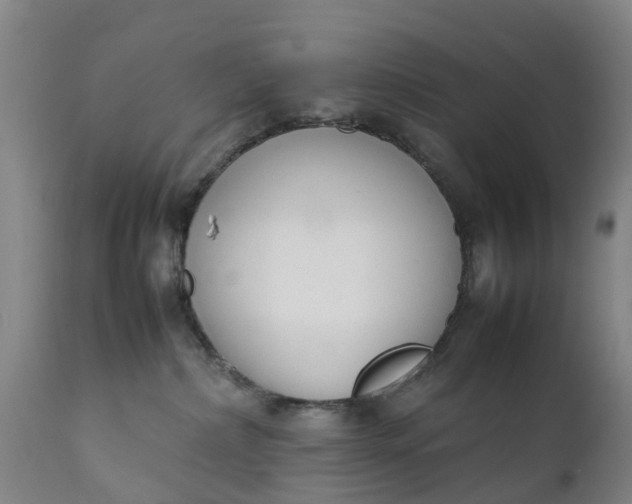X0000111650236200907311324