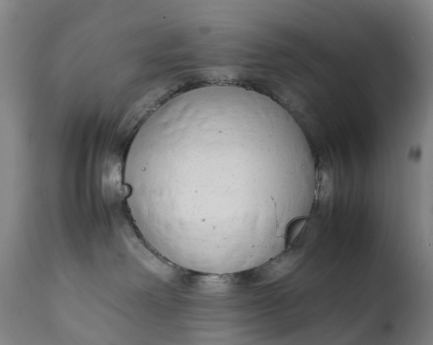 X0000111650238200907311324