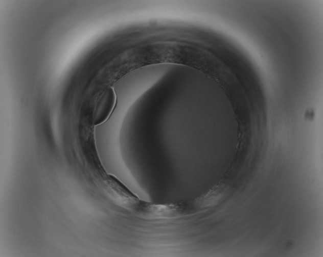 X0000111650239200907311324