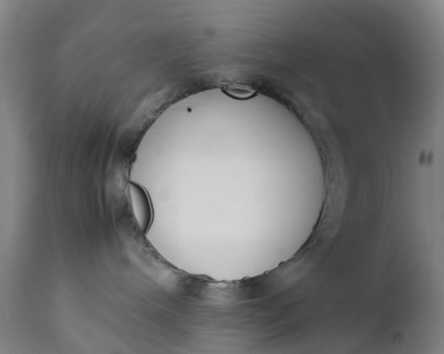 X0000111650240200907311324