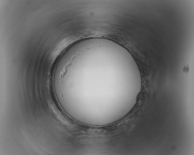 X0000111650242200907311323