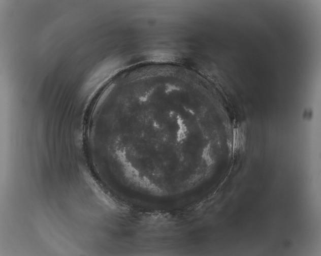 X0000111650243200907311323