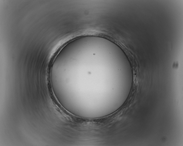 X0000111650244200907311323