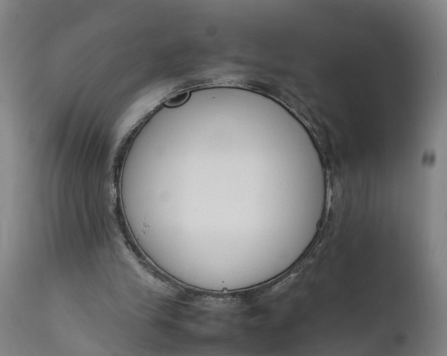 X0000111650245200907311323