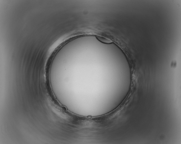 X0000111650246200907311323