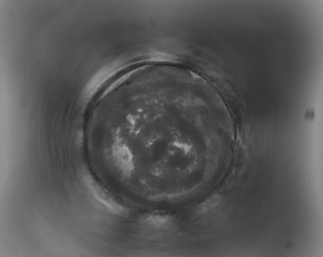 X0000111650247200907311323