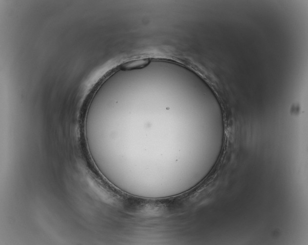 X0000111650248200907311323