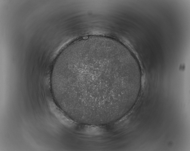X0000111650249200907311323