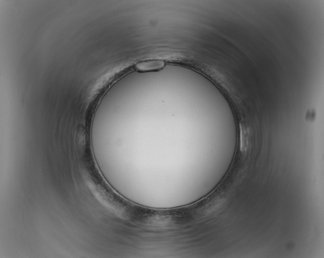 X0000111650252200907311323