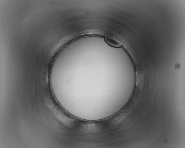 X0000111650253200907311323