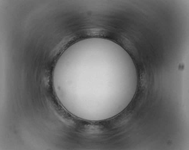 X0000111650255200907311323