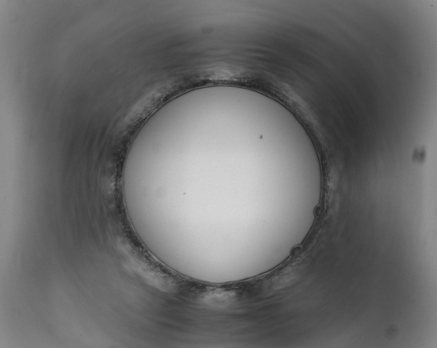 X0000111650257200907311323