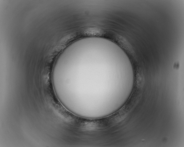 X0000111650259200907311323