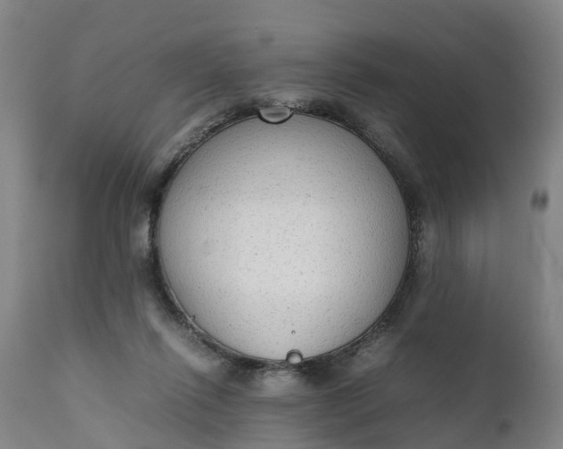 X0000111650262200907311323