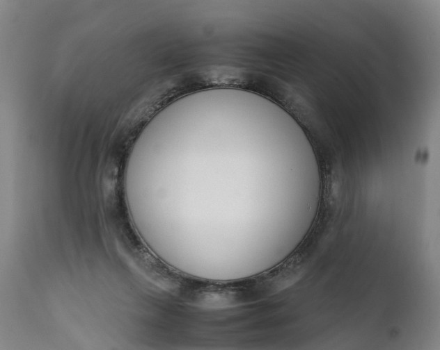 X0000111650263200907311323