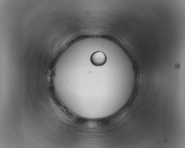 X0000111650264200907311323