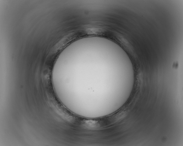 X0000111650265200907311323