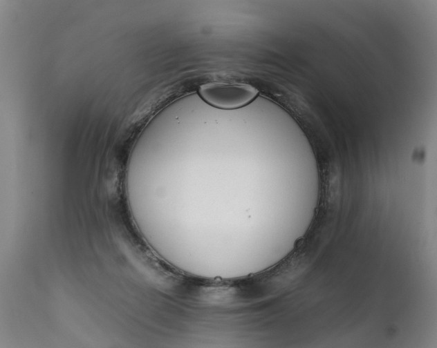 X0000111650266200907311323