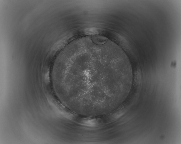 X0000111650267200907311323