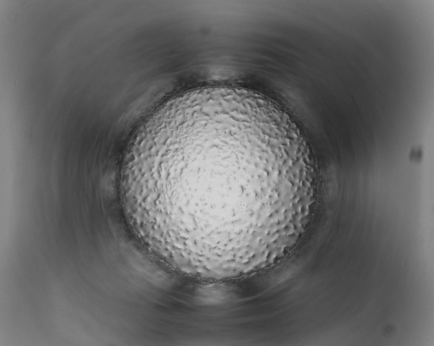 X0000111650269200907311323