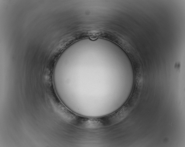 X0000111650270200907311323
