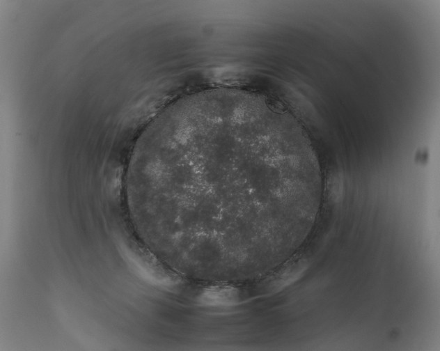 X0000111650271200907311323