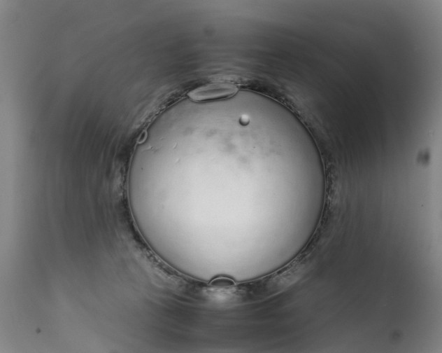 X0000111650273200907311324
