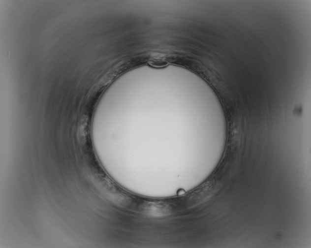 X0000111650275200907311324
