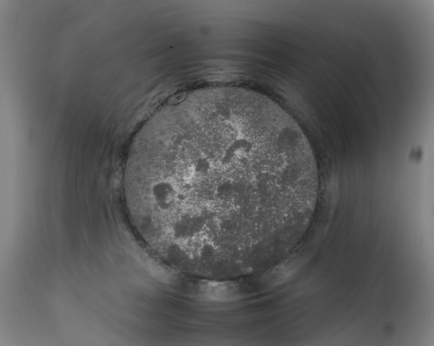 X0000111650277200907311324