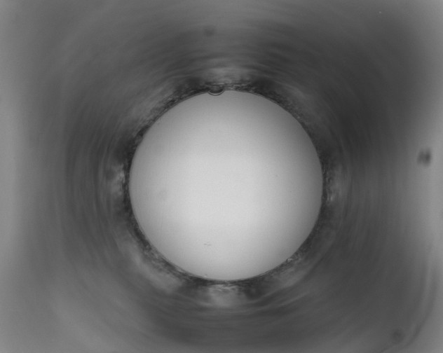 X0000111650279200907311324