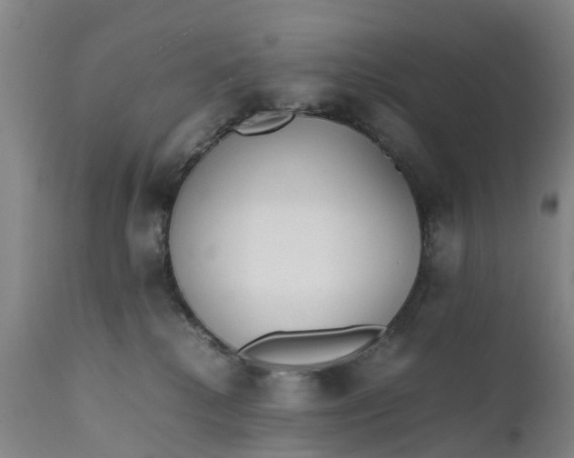X0000111650280200907311324