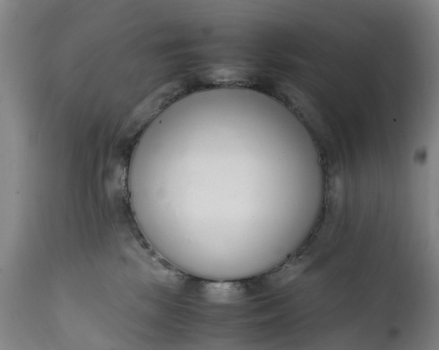 X0000111650281200907311324