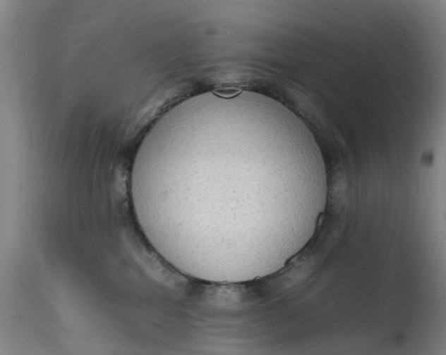 X0000111650282200907311324