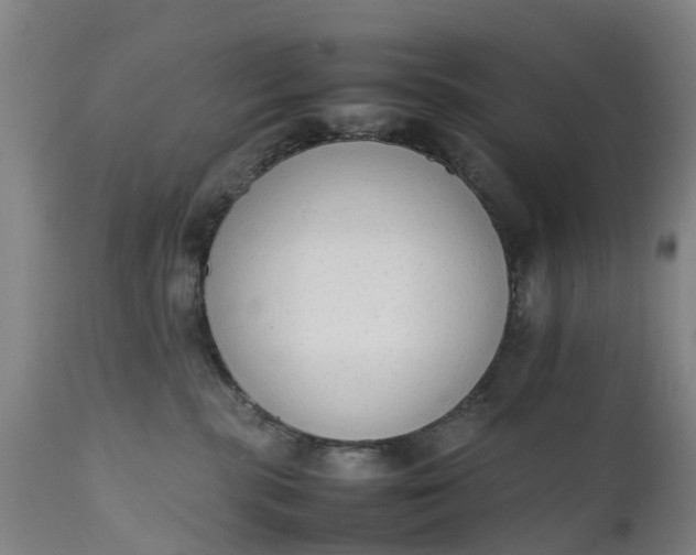 X0000111650283200907311324