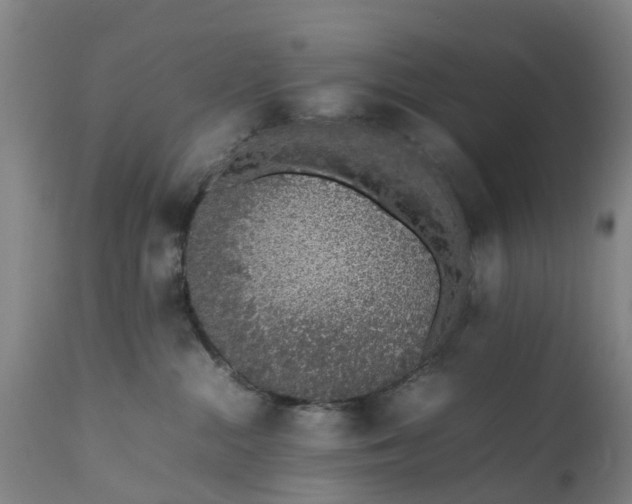 X0000111650284200907311324