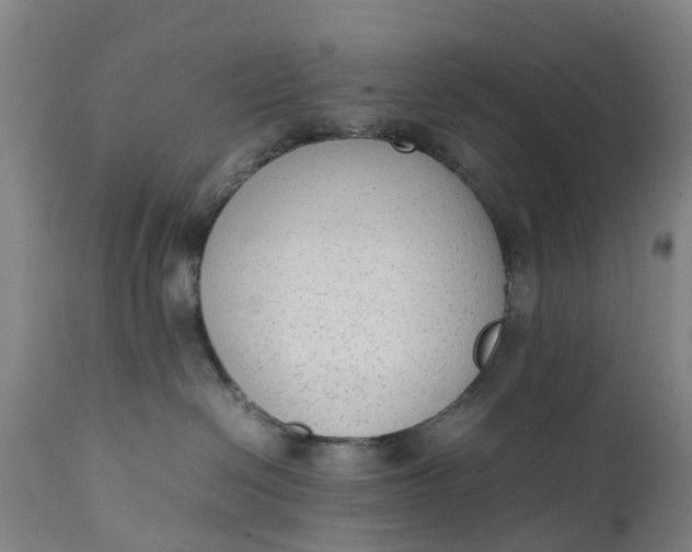 X0000111650286200907311324