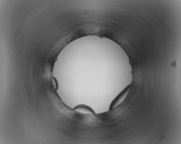 X0000111650287200907311324